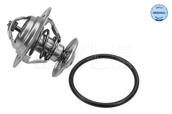 Thermostat, coolant