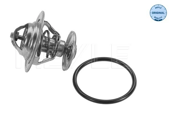 Thermostat, coolant