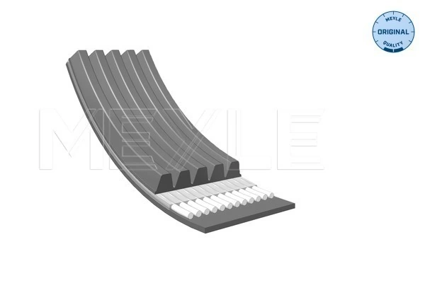 V-ribbed Belt