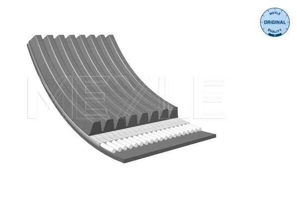 V-ribbed Belt