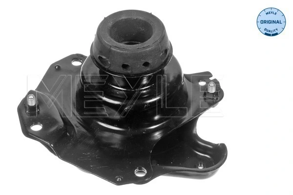 Mounting, engine