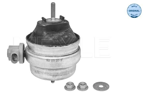 Mounting, engine