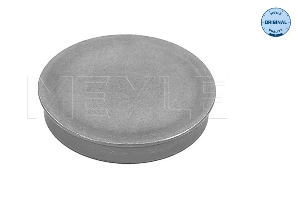 Protection Lid, wheel hub