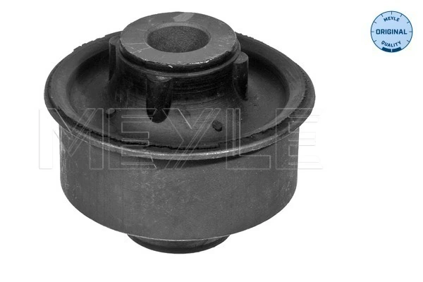 Mounting, control/trailing arm