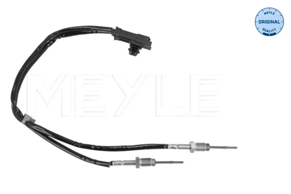 Sensor, exhaust gas temperature
