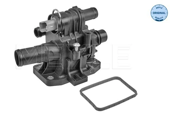 Thermostat, coolant