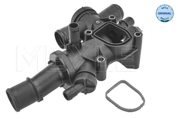 Thermostat, coolant