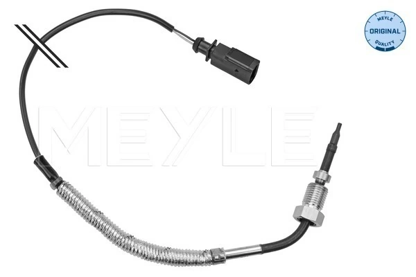 Sensor, exhaust gas temperature