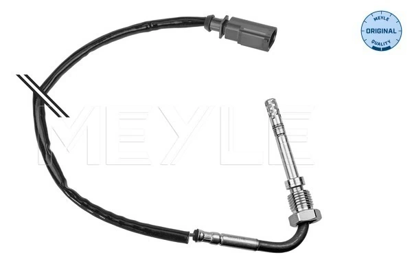 Sensor, exhaust gas temperature