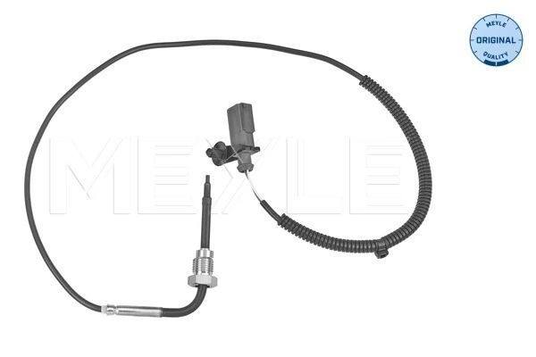 Sensor, exhaust gas temperature