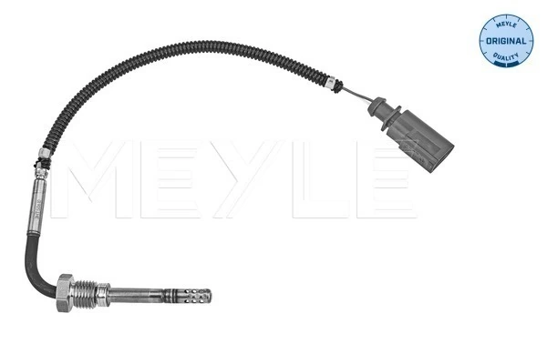 Sensor, exhaust gas temperature