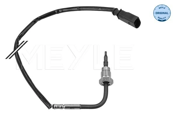 Sensor, exhaust gas temperature