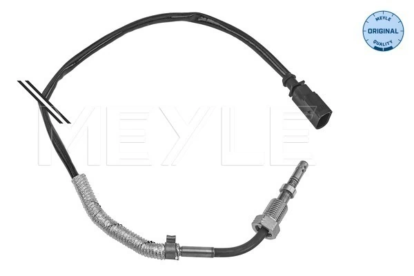 Sensor, exhaust gas temperature