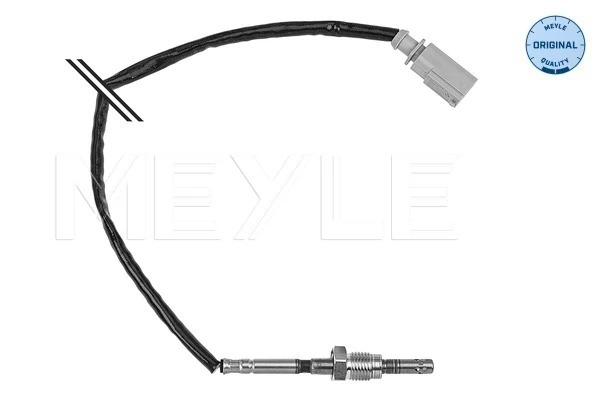 Sensor, exhaust gas temperature