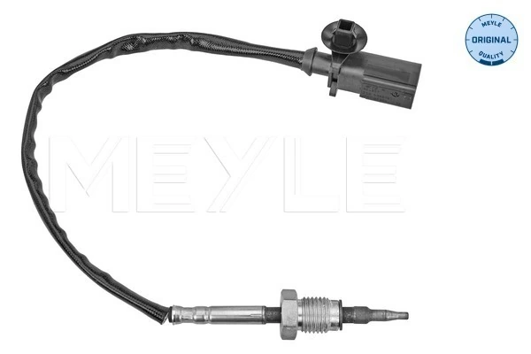 Sensor, exhaust gas temperature