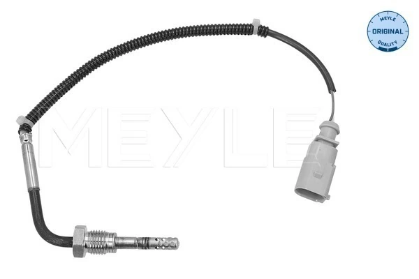 Sensor, exhaust gas temperature
