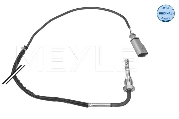 Sensor, exhaust gas temperature