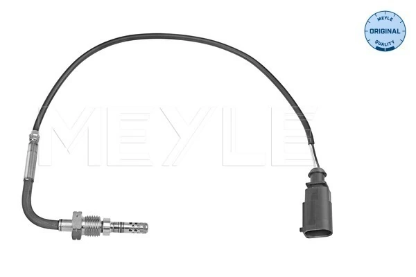 Sensor, exhaust gas temperature
