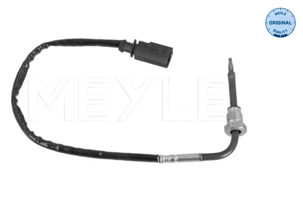 Sensor, exhaust gas temperature
