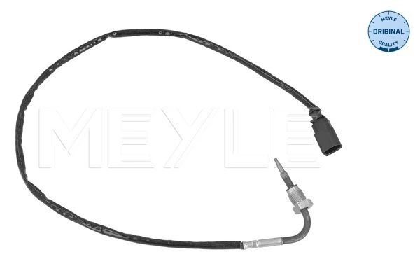 Sensor, exhaust gas temperature