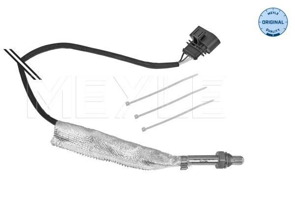Oxygen Sensor