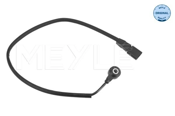 Knock Sensor