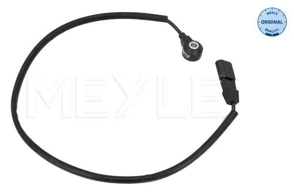 Knock Sensor