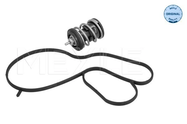 Thermostat, coolant