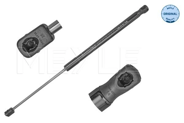 Gas Spring, boot/cargo area