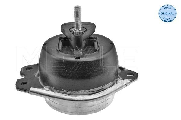 Mounting, engine