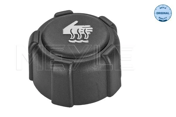 Cap, coolant tank