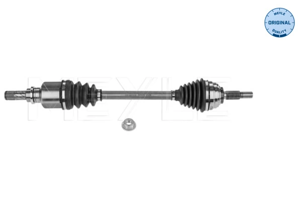 Drive Shaft