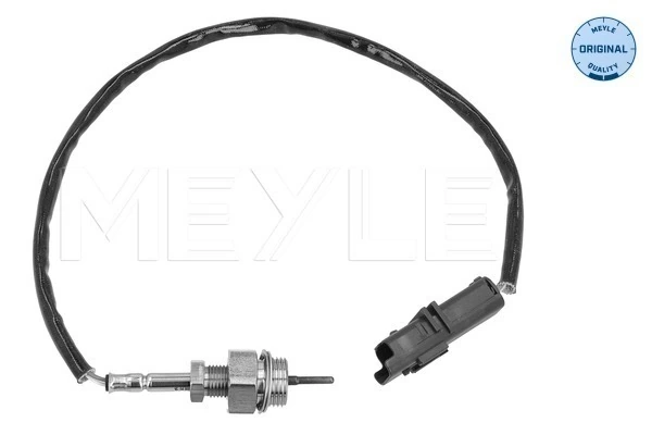 Sensor, exhaust gas temperature