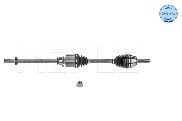 Drive Shaft