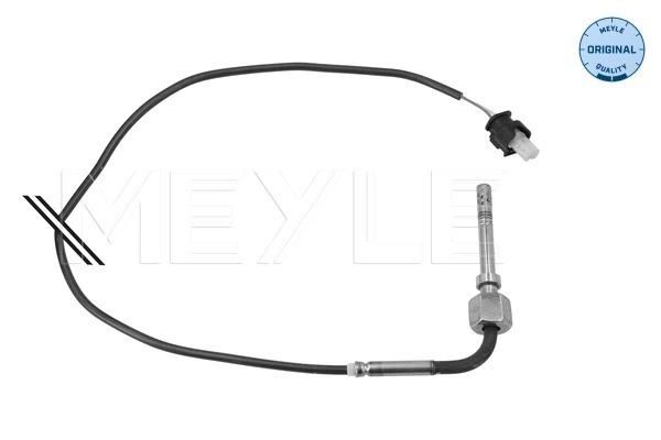 Sensor, exhaust gas temperature