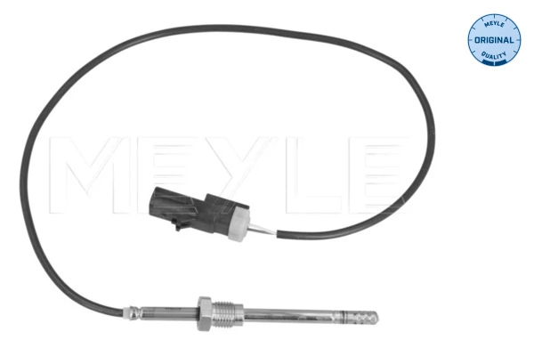 Sensor, exhaust gas temperature