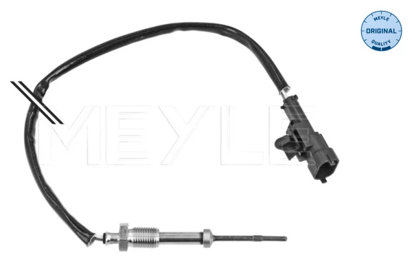 Sensor, exhaust gas temperature