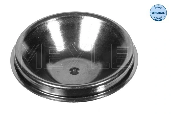 Cap, wheel bearing