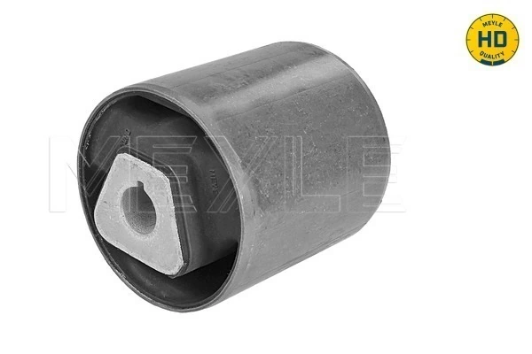 Mounting, control/trailing arm