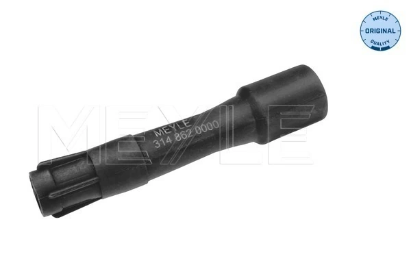 Plug, spark plug