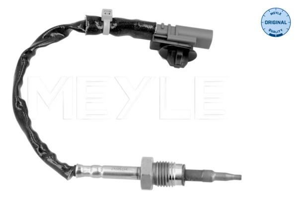 Sensor, exhaust gas temperature