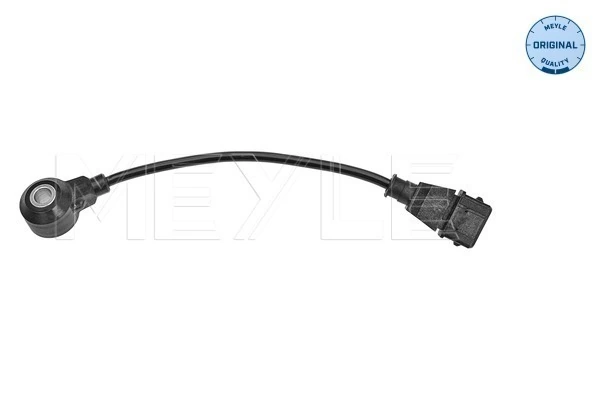Knock Sensor