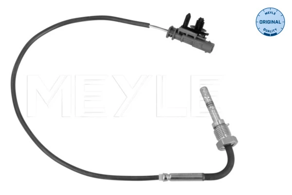 Sensor, exhaust gas temperature