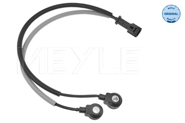 Knock Sensor