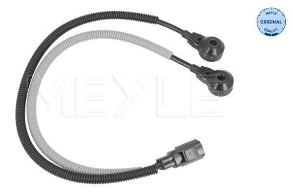 Knock Sensor