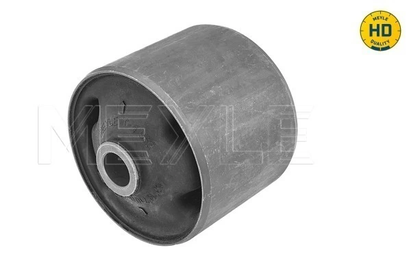 Mounting, control/trailing arm