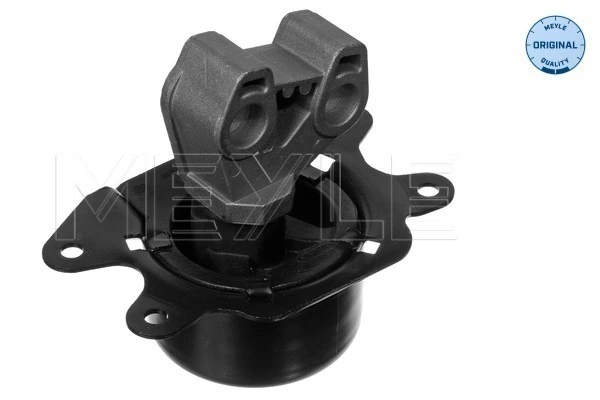 Mounting, engine