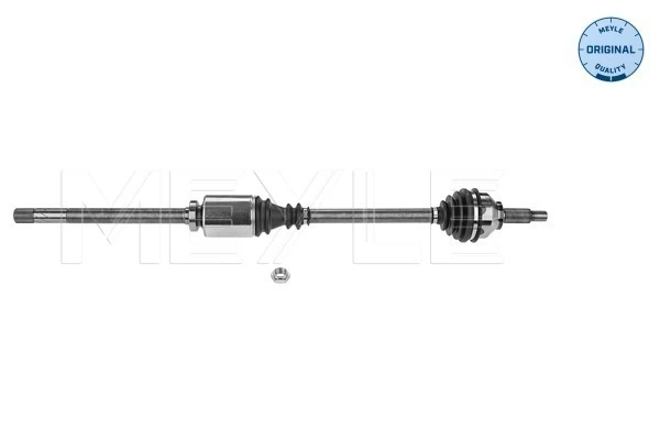 Drive Shaft