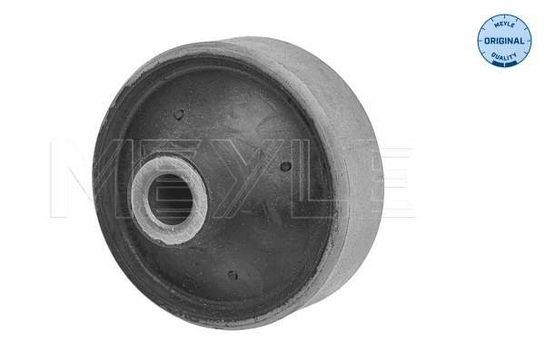 Mounting, control/trailing arm