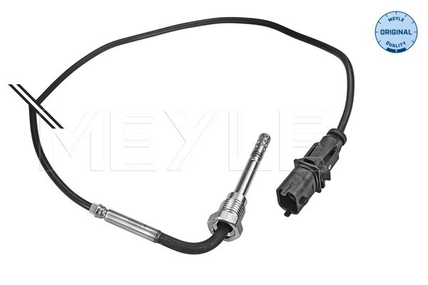 Sensor, exhaust gas temperature